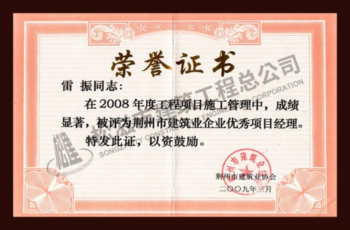 雷振2008年优秀项目经理