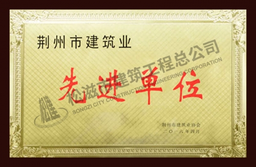 2015荆州先进企业