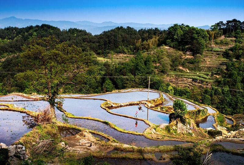 湖北松建建设集团有限公司